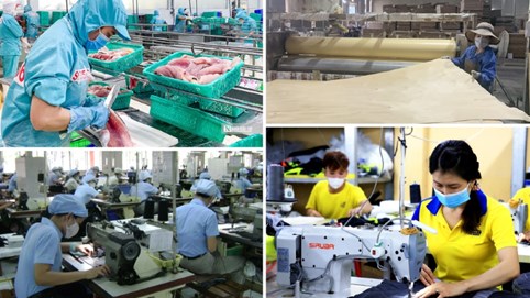 Nghiên cứu thành lập Quỹ phát triển kinh tế tư nhân