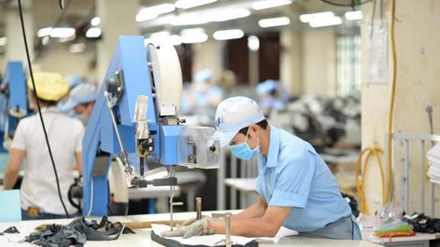 Gần 21.000 doanh nghiệp ra nhập thị trường trong tháng 8/2025