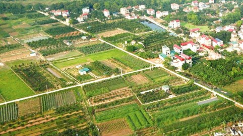 Nam Định: tổ chức đấu giá đất đồng loạt trong tháng 9