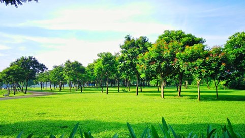 Hà Nội: lập điều chỉnh tổng thể Quy hoạch công viên Đống Đa