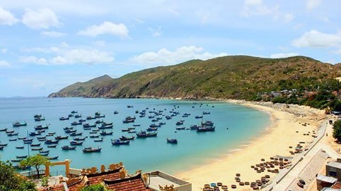 Bình Định: Đấu giá 2 khu đất hơn 3000 tỷ đồng làm dự án du lịch 