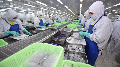 Tập đoàn PAN (PAN) lãi lớn trong quý III, hoàn thành hơn 80% kế hoạch lợi nhuận năm