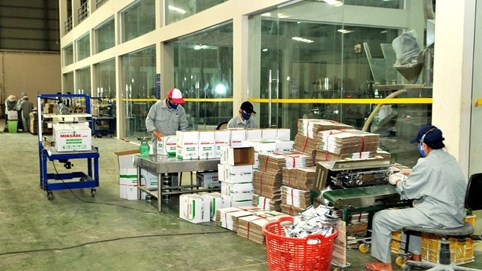 Vật tư kỹ thuật nông nghiệp Cần Thơ (TSC): Lợi nhuận quý III sụt giảm mạnh