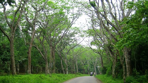 Đồng Nai sắp có khu du lịch sinh thái gần 480 ha