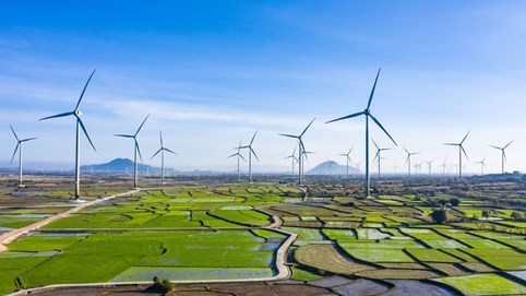 Quảng Trị có thêm dự án điện gió hơn 9.000 tỷ đồng
