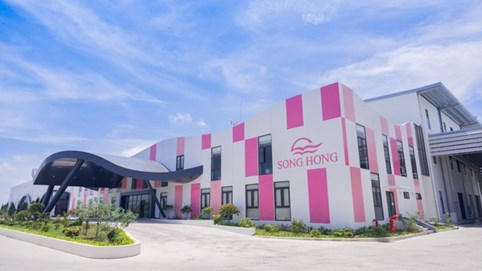 May Sông Hồng (MSH) dự kiến chi hơn 260 tỷ đồng tạm ứng cổ tức năm 2024 cho cổ đông