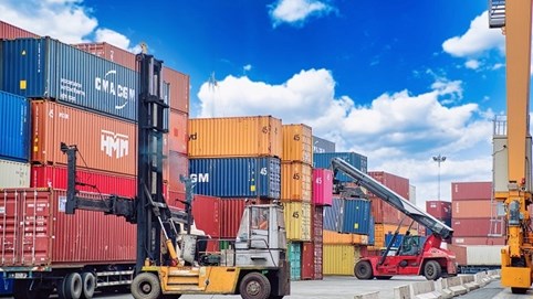 Cổ đông TCO Holdings sắp được chia cổ tức và thưởng cổ phiếu