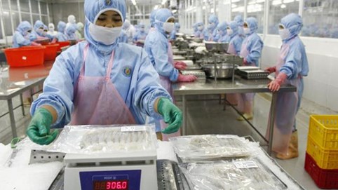 Thủy sản Út Xi bị xử phạt gần 160 triệu đồng do vi phạm công bố thông tin