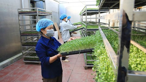 Liên kết doanh nghiệp: ‘Chìa khoá’ tăng tốc kinh tế tuần hoàn tại Việt Nam