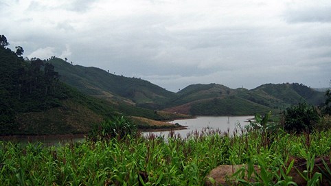 Thủ tướng yêu cầu làm rõ hiệu quả quản lý và bảo vệ rừng Tây Nguyên 