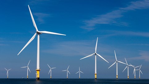 Tập đoàn của Đức muốn làm siêu dự án điện gió 4,8 tỷ USD tại Bình Định
