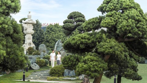 “Tất tần tật” về công viên Nhật Bản Zen Park lớn nhất Việt Nam 