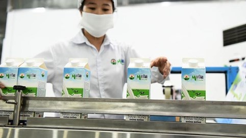 Vinamilk sắp bơm nghìn tỷ vào Mộc Châu Milk