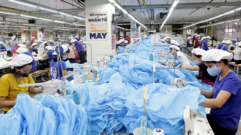 Đại gia dệt may báo lãi giảm 43%
