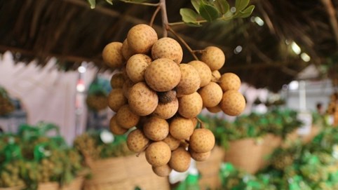 Nhãn tươi Việt Nam bán tại Australia gần 200.000 đồng/kg