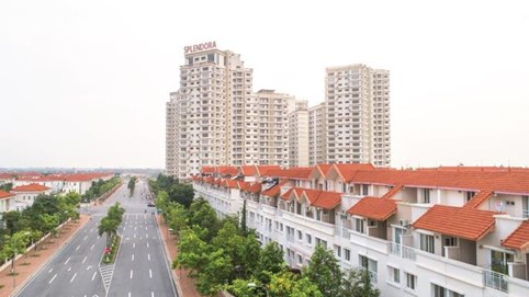 Nội chiến tại Vinaconex đã đến hồi kết?