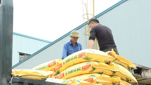 Đạm Hà Bắc tiếp tục chìm sâu trong thua lỗ, phải trả hơn 2 tỷ tiền lãi mỗi ngày