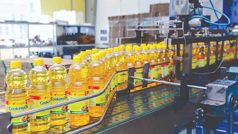 Tập đoàn Kido miễn nhiệm 4 Phó tổng giám đốc trong 1 ngày