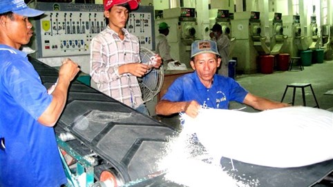 Gạo 'bẩn': Cần dữ liệu khoa học đầy đủ