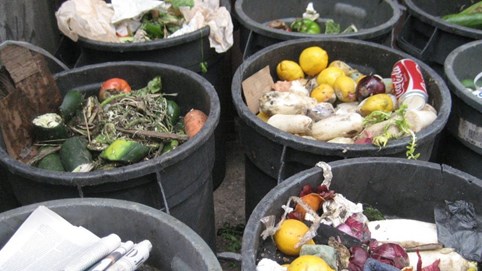 Thế giới lãng phí 569 tấn thực phẩm mỗi năm, đứng đầu danh sách là Trung Quốc và Ấn Độ
