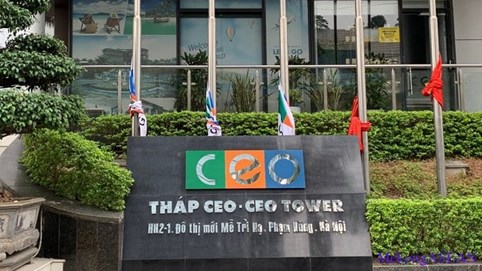 CEO Group đặt mục tiêu lợi nhuận tăng 24%, chia cổ tức 5%