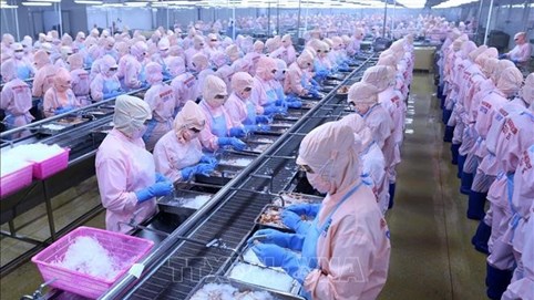 Báo lỗ gần 100 tỷ đồng trong quý 1, Tập đoàn Thủy sản Minh Phú (MPC) lên kế hoạch kinh doanh đi lùi, lãi giảm 20%