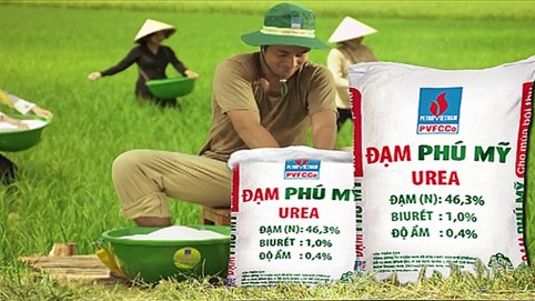 Kế hoạch lợi nhuận sụt giảm 60%, Đạm Phú Mỹ muốn tăng vốn điều lệ thông qua phát hành cổ phiếu