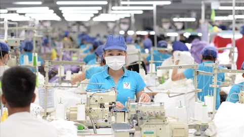 Vinatex Toms sẽ đầu tư xưởng may trị giá 58 tỷ đồng tại Quảng Trị