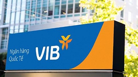 Công ty mới thành lập vài ngày sắp chi hơn 2.500 tỷ mua cổ phiếu VIB