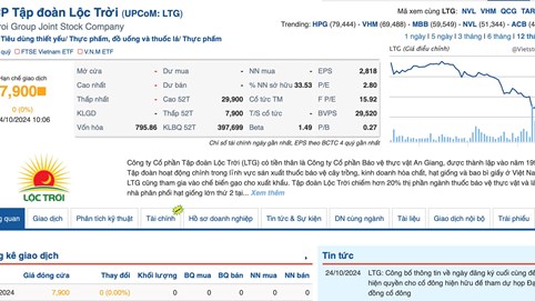 VNDirect mắc cạn khi rót trăm tỷ vào Tập đoàn Lộc Trời, liên tiếp thua lỗ khi cổ phiếu LTG chạm đáy lịch sử