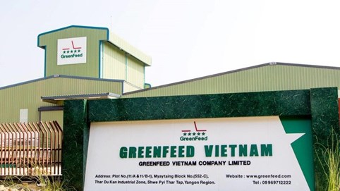 GreenFeed Việt Nam bất ngờ báo lỗ 20 tỷ đồng, nợ phải trả 5.500 tỷ đồng