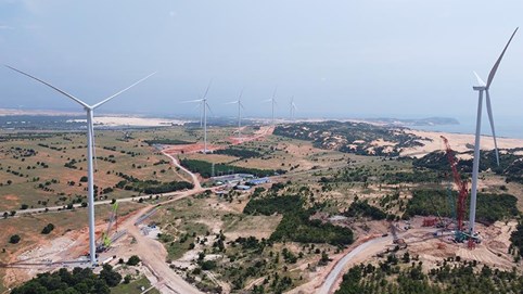 Cổ phiếu “lao dốc” liên tiếp 12 phiên và thế khó của Vneco (VNE)