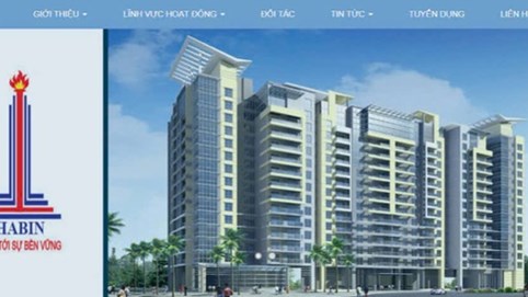 Habin Group của đại gia Trương Tiến Lực nợ bảo hiểm và thuế, dự án triển khai chậm bị thu hồi