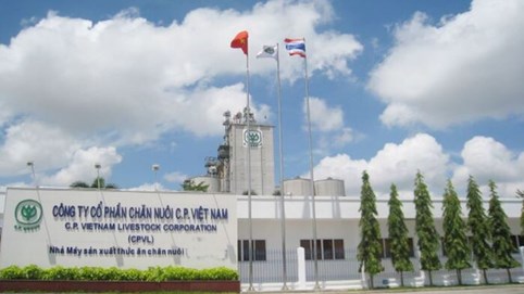 Đạt doanh thu khủng nhưng lợi nhuận của công ty sản xuất thức ăn chăn nuôi uy tín nhất Việt Nam lại liên tục giảm sâu