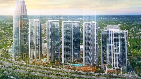 TDG Global (TDG) lấn sân lĩnh vực mới, nuôi bò tại Lào