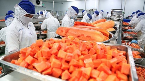 Quy định về quản lý và đăng ký của doanh nghiệp sản xuất thực phẩm nước ngoài nhập khẩu vào Trung Quốc