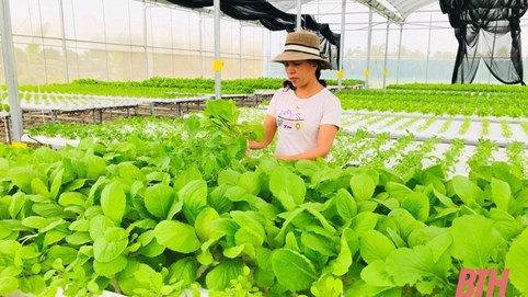 Tỉnh Thanh Hóa xây dựng và phát triển các mô hình an toàn thực phẩm