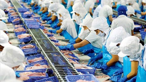 Doanh thu xuất khẩu tháng 11 của Vĩnh Hoàn (VHC) ở mức gần thấp nhất năm