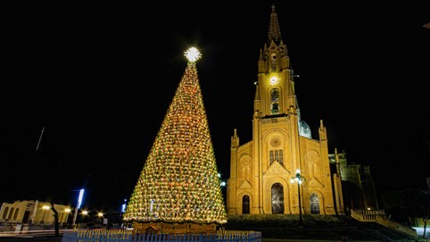 Cây thông Noel “lên đèn” rực rỡ khắp trời Âu