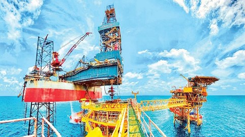 Xây dựng Công nghiệp và Dân dụng Dầu khí (PXI) bị cưỡng chế thuế hơn 40,8 tỷ đồng