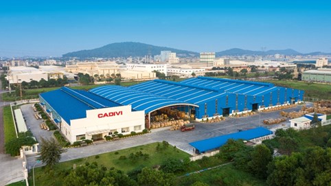 Điện lực Gelex (GEE) dự chi hơn 231 tỷ đồng để nắm toàn bộ vốn tại Cadivi và Thibidi