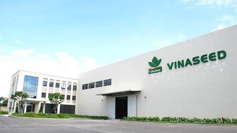 Lãi 9 tháng giảm nhẹ, Vinaseed (NSC) dự chi 35 tỷ đồng trả cổ tức, tỷ lệ 20%