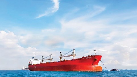 Hơn 94,2 triệu cổ phiếu của PVTrans Pacific (PVP) sắp chào sàn HoSE ngày 17/1 tới