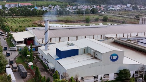 Cổ đông của Công ty Sữa Quốc tế (IDP) sắp nhận được hơn 521 tỷ đồng tiền cổ tức