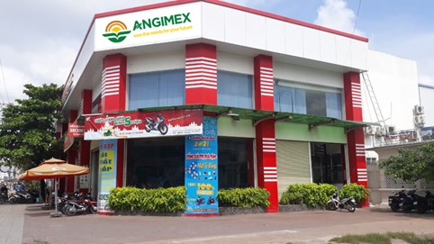 Angimex (AGM) sẽ tổ chức họp với trái chủ vào tháng 2/2023 để xử lý hai gói trái phiếu