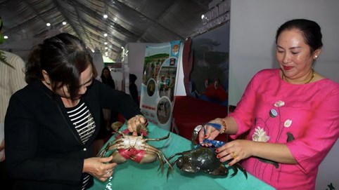 Tăng cường kiểm soát an toàn thực phẩm và truy xuất nguồn gốc mặt hàng cua sống dịp Tết Nguyên đán