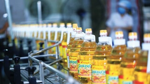 Doanh thu cả năm 2023 giảm tới 47%, Vocarimex (VOC) vẫn ghi nhận lãi sau thuế 1.304,5 tỷ đồng