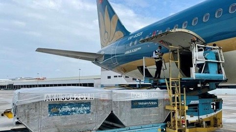 Dịch vụ hàng hóa Sài Gòn (SCS) lãi kỷ lục gần hơn 692 tỷ đồng trong năm 2024