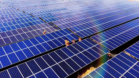 Doanh thu cả năm 2024 của Bamboo Capital cán mốc 4.371,9 tỷ đồng, lợi nhuận sau thuế tăng gấp 5 lần