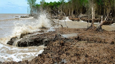 Thủ tướng: Việt Nam cần thêm 35 tỷ USD để chống biến đổi khí hậu